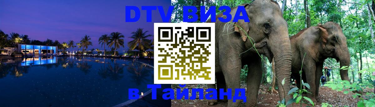 Сколько стоит DTV виза — актуальные цены, оформление даже без документов - Ярославль 